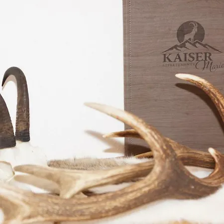 Апартаменты Kaiserappartements-marie