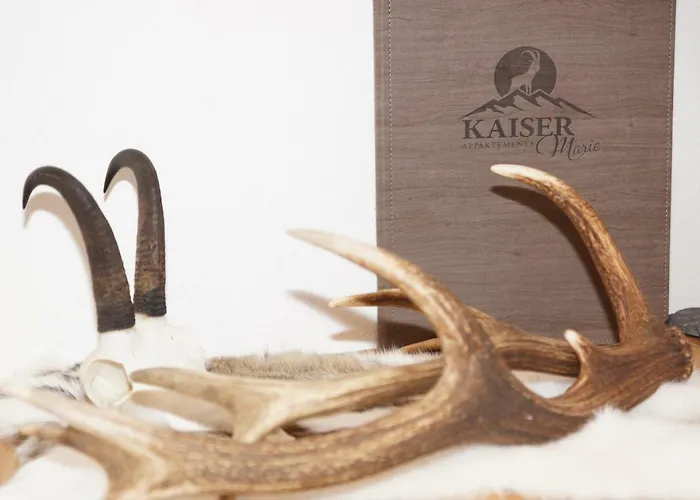 Apartament Kaiserappartements-marie